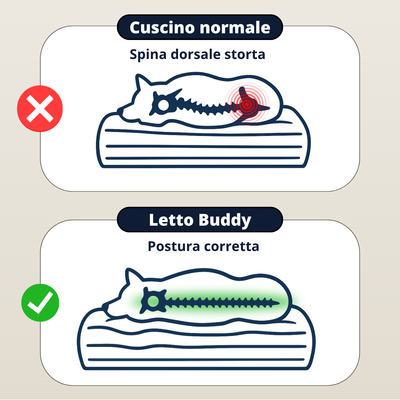 Letto ortopedico cane myBuddy dettaglio imbottitura ortopedica