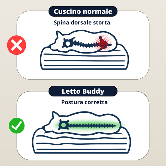 Letto ortopedico cane myBuddy dettaglio imbottitura ortopedica