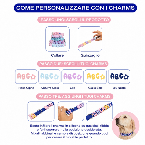 Collare Personalizzato