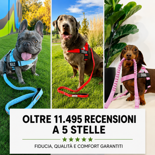 Soddisfatto o rimborsato