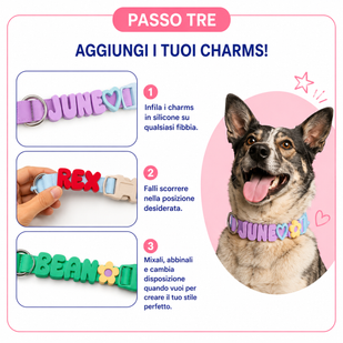 Creato per il tuo cane