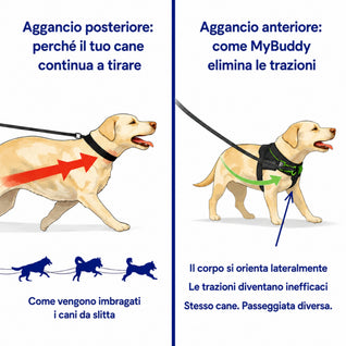 Pettorina Anti-Tiro Personalizzata