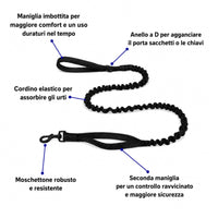 guinzaglio