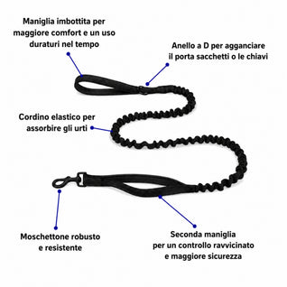 Kit Pettorina + Guinzaglio + Collare