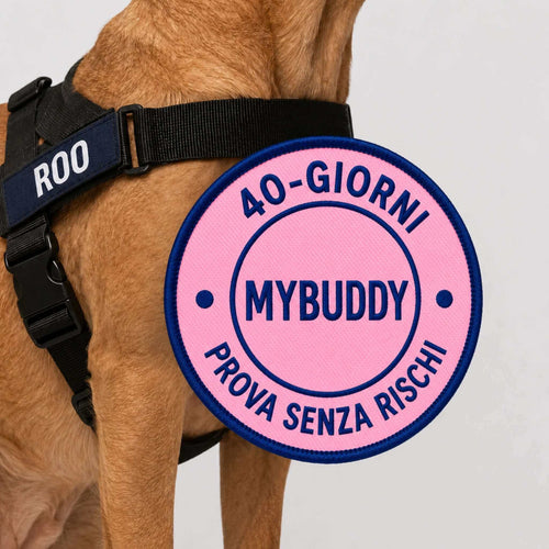 Pettorina Anti-Tiro Personalizzata