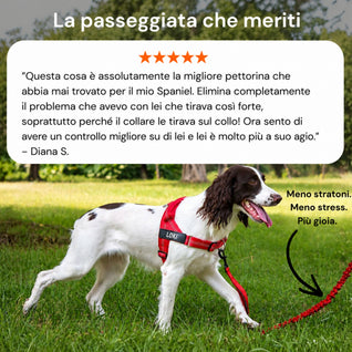 Pettorina Anti-Tiro Personalizzata