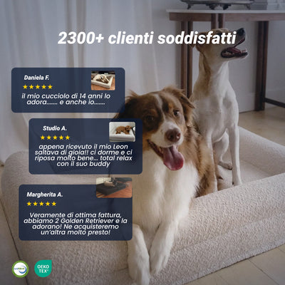 Confronto letto ortopedico cane myBuddy prima e dopo l uso