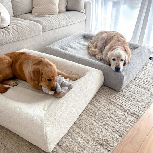 Cover letto cane myBuddy grigio dettaglio tessuto impermeabile