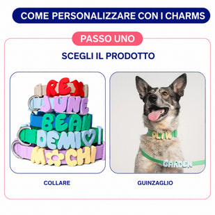 Scegli il modello